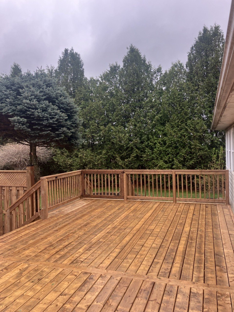 Backyard deck railing and fence line for exterior carpentry planning